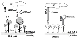 延安燕沟最新动态