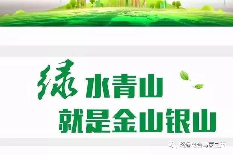 山西绿色守护行动迎来新篇章，环保成果喜人速览