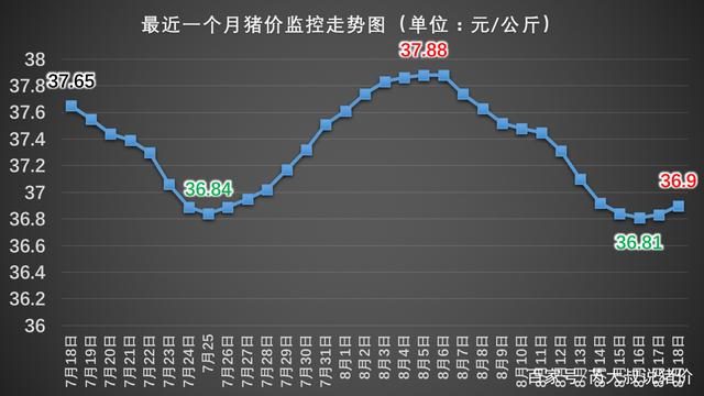 山东猪肉市场价格动态