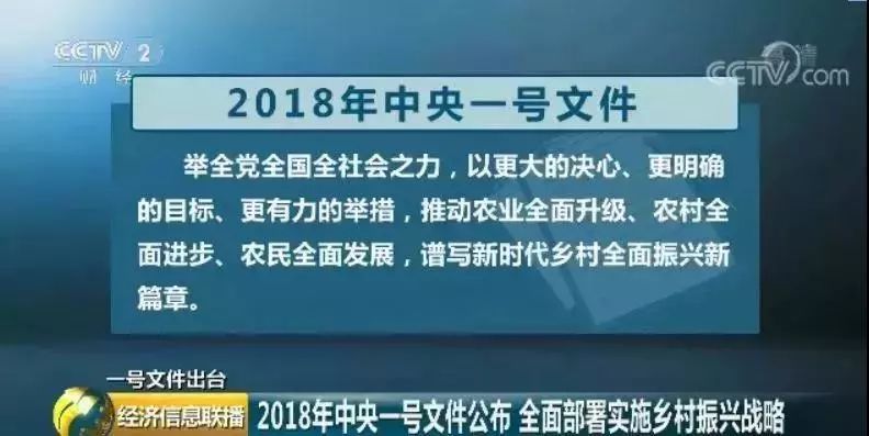 烟台市退伍军人福利政策全新解读：最新规定一览